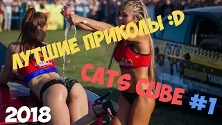 Cat's Cube #1 ЛУТШИЕ ПРИКОЛЫ ЭТОГО ГОДА  😂 !!!! На это можно смотреть вечно | Epic Moments  🔥