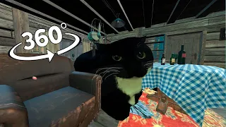 360° VR extreme Maxwell The Cat - In Your HOUSE