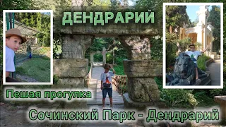 пешая прогулка по Сочинскому Парку - Дендрарий