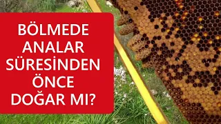 14. GÜNDE ANALAR DOĞMADI! 5. GÜN KAPANAN YÜKSÜKLER BOZULMALI MI?