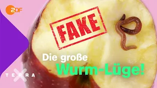 Wie der Wurm in den Apfel kommt | Terra X plus