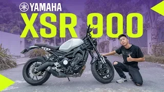 YAMAHA XSR 900 - 'người em' bị lãng quên của MT-09 - 'ông nội' XSR 155