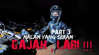 Gajah !!!  lari Aveta Ranger Max berundur !!! part 3 Ep:56-2024  #teacher #offroad #gajah