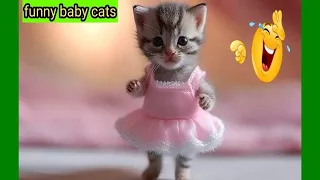 New Funny Videos 2024 😍 Cutest Cats and Dogs 🐱cats funny videos🐶 Part 27