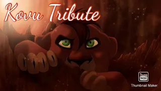 Kovu Tribute