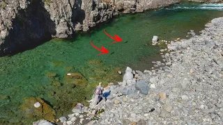 Trout Hunting on one of New Zealand's Giant Trout Rivers.