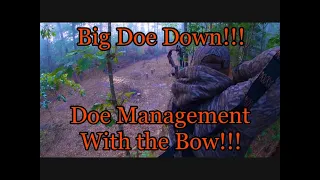 Doe management with the bow - North Carolina bow hunting - Bow seasons winding down