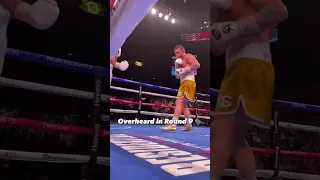 Caleb plant trash talking Canelo during the fight in round 9