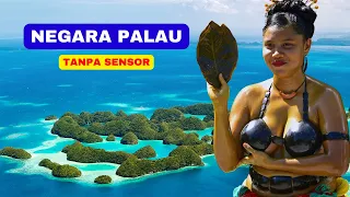 Fakta Negara Palau : Seperti Apa Negara Tetangga Yang Terlupakan? Bagaimana Kehidupan disana?