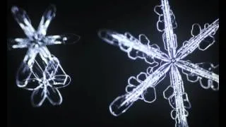 Six-sided snowflakes bloom in slow motion