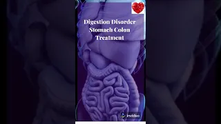 Digestion Disorder & Stomach Colon Treatment | Digestion Enhancement Binaural Beats Sound Therapy