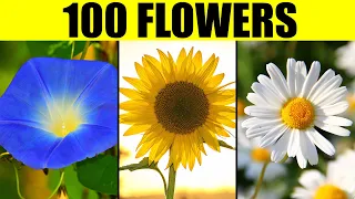 FLOWERS of the World - Names of 100 Different Types of Flowers