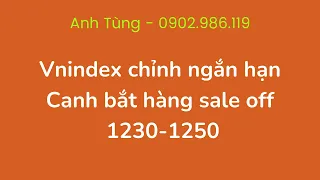 Chứng khoán hàng ngày: cơ hội bắt đáy ngắn hạn khi Vnindex điều chỉnh do lực hút khách sạn Ichimoku