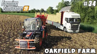 Sowing wheat, harvesting barley, baling straw | Oakfield Farm | Farming simulator 19 | Timelapse #34