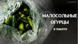 БЫСТРЫЙ РЕЦЕПТ - Малосольные огурцы в пакете #малосольныеогурцы #огурцывпакете #огурцырецепт