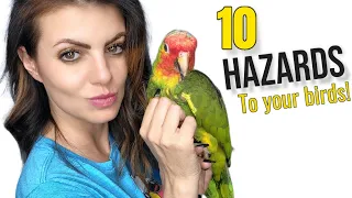 10 Home Hazards That Can Be Deadly To Your Parrot❗️