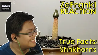 True Facts: Stinkhorns | zefrank1 | ImBumi Reaction