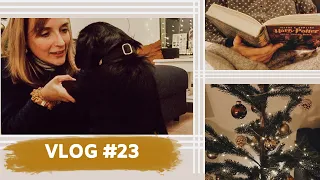 VLOG #23 | MEIN HUND, HARRY POTTER & WINTERSPAZIERGÄNGE | coyote diaries