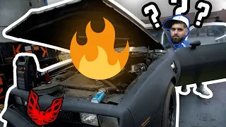 Can we get our Barn Find 79 Trans Am Running??