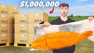 MILLION DOLLAR Koi Unboxing!