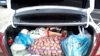 Помощь приюту кот и пес повёз продукты.Зеленодольск.Help shelter cat and dog took food