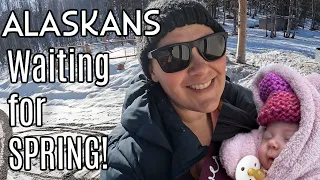 Spend Time With our Family| SPRING in Alaska | Family fun in the SNOW!??