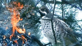 РЯБЧИКИ прилетели сами НА ОГОНЁК