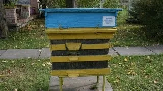 Ukraine Reed Hive At Prokopovych Beekeeping Museum In Kiev