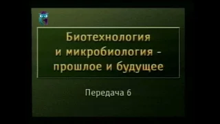 Передача 6. Царство грибов, их значение