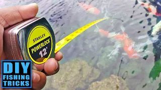 Catching Fish with a Measuring Tape! Fishing DIY