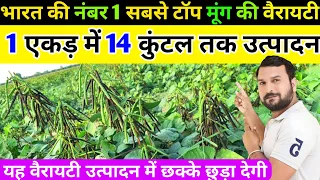 भारत की नंबर 1 सबसे टॉप Moong की वैरायटी 1 एकड़ में 14 कुंटल तक उत्पादन| मूंग की खेती कीAtoZ जानकारी