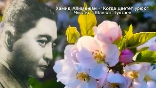 Хамид Алимджан - "Когда цветёт урюк"/ читает - Шавкат Тухтаев