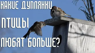 How wryneck & the tit became neighborsWhat birdhouses do birds like best? (Birds of Russia) Movie 82