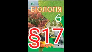 Параграф 17 "Одноклітинні водорості"//Шкільна програма 6 клас.