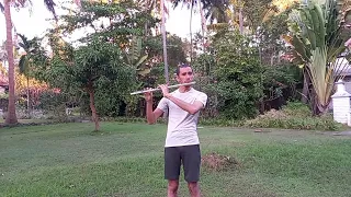 Shakira - Hips Don't Lie - Flute cover