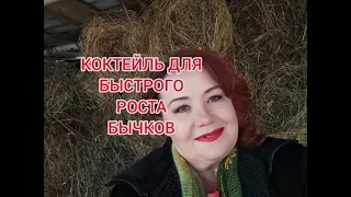 ДЛЯ БЫСТРОГО РОСТА БЫЧКОВ КОКТЕЙЛЬ/ МАЛЕНЬКИМ ТЕЛЯТАМ/ success in fattening bulls