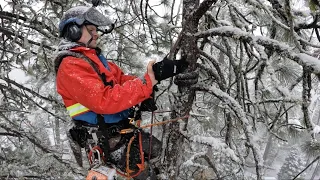 Snowy work conditions.