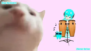Space hamster Quartet - Vibing Cat Ievan Polkka