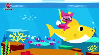 بيبي شارك دودو baby shark