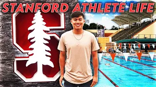 Stanford Swimming Facilities Tour | Life of a Stanford Athlete