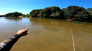 Encontrei um corta rio cheio de Tucunarés, Robalos e outras variedades de peixes. Pescaria.