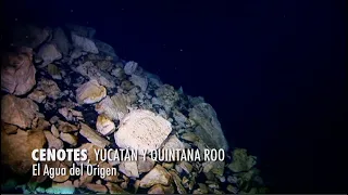 Cenotes de Yucatán y Quintana Roo. El agua del origen. PIEDRAS QUE HABLAN