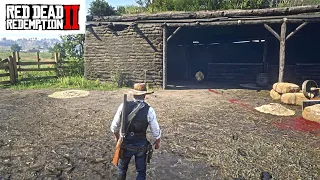 Red Dead Redemption 2 Ultra Rare animal in the whole game(Lion).