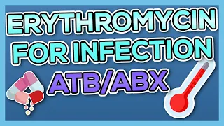 Erythromycin (Erythrocin) Nursing Drug Card (Simplified) - Pharmacology