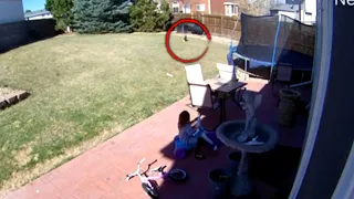 5-Year-Old Girl Stares Down Bobcat in Her Backyard
