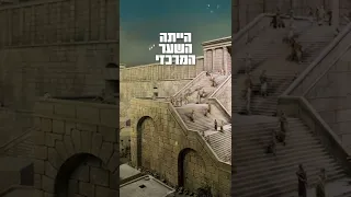 ידעתם את זה? הצד הלא מוכר של הכותל המערבי #shorts