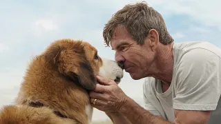 The dog finds his old owner after being re-born 4 times!!