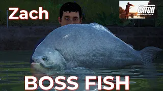 The Catch Carp & Coarse Boss Fish Zach Black Pacu Fishing