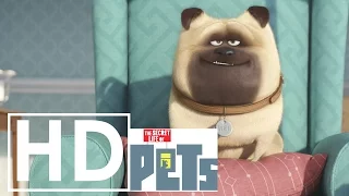 (Official)  Secret Life of Pets Music Video - Do your Thing - Basement Jaxx