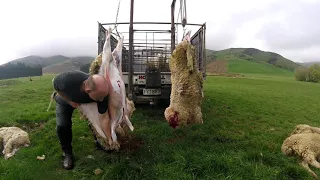 New Zealand homekill